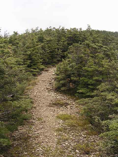 NZ leden-unor 2006 163.jpg